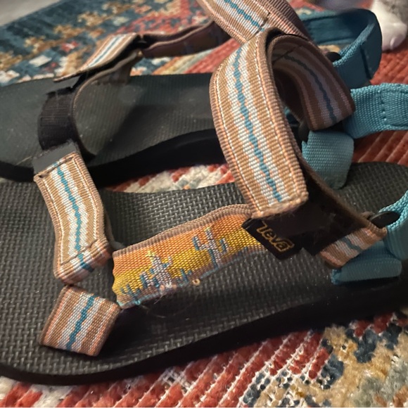 Size 7 used dessert cactus TEVAS - Picture 2 of 6